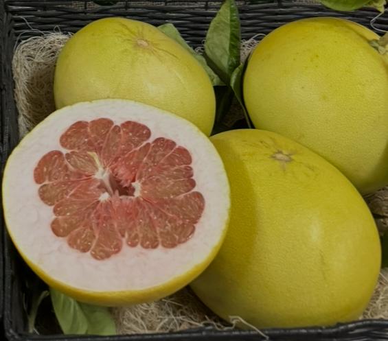 Thai Pomelo