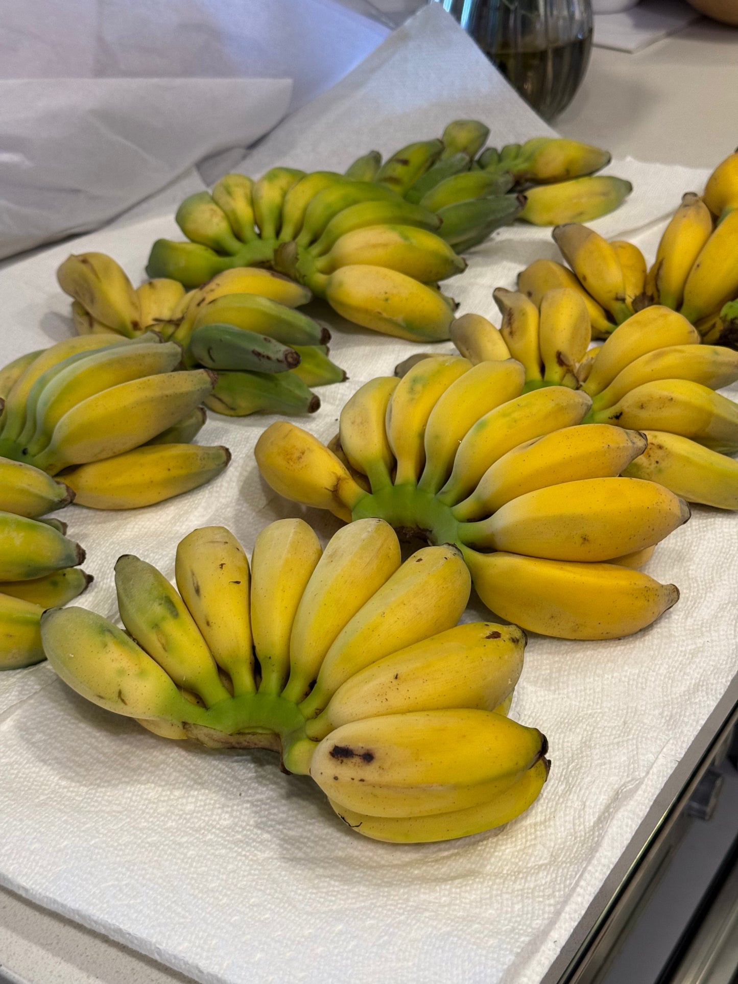 California-Grown Thai Banana | Freshpicked California