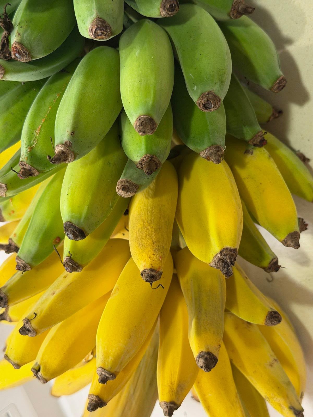 California-Grown Thai Banana | Freshpicked California
