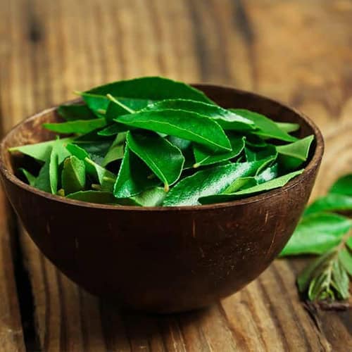 Fresh Curry Leaves