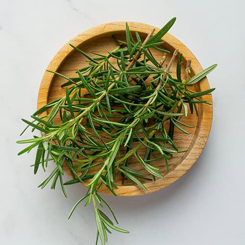 Fresh Rosemary Stems