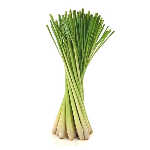 Fresh Lemongrass