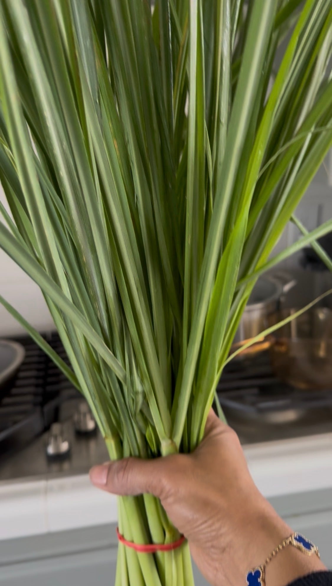 Fresh Lemongrass