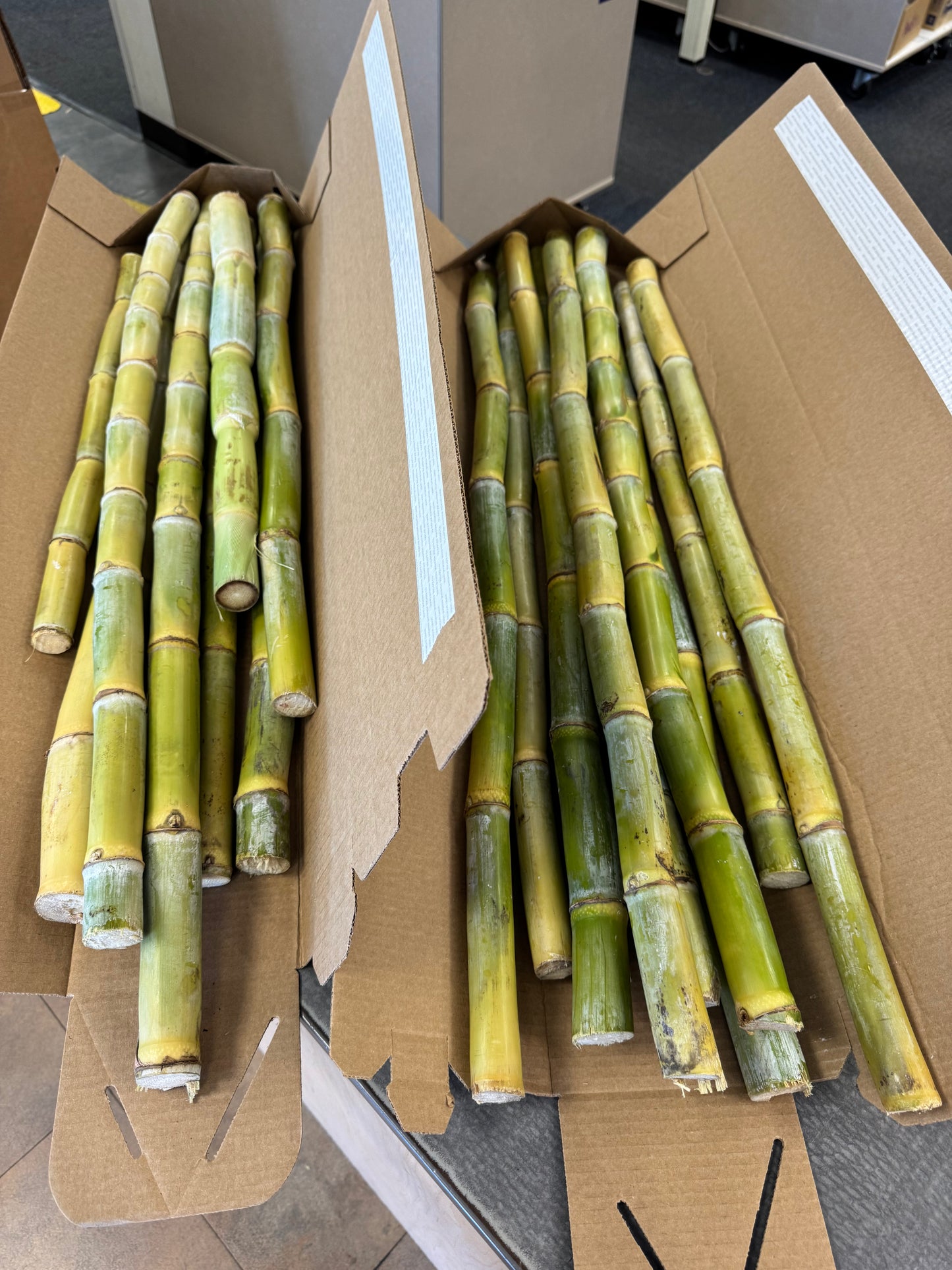 Sugarcane (Full Stalk) *Available Now*