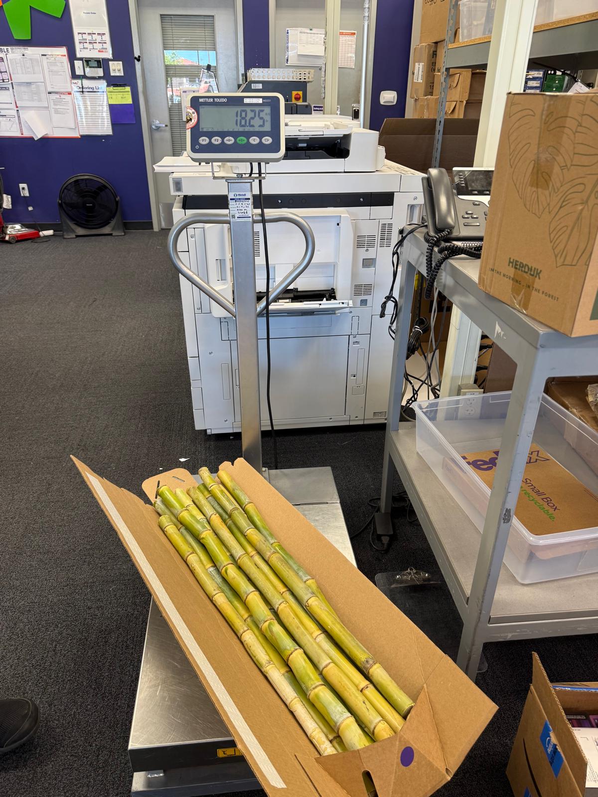 California-Grown Sugarcane (cut) | Freshpicked California