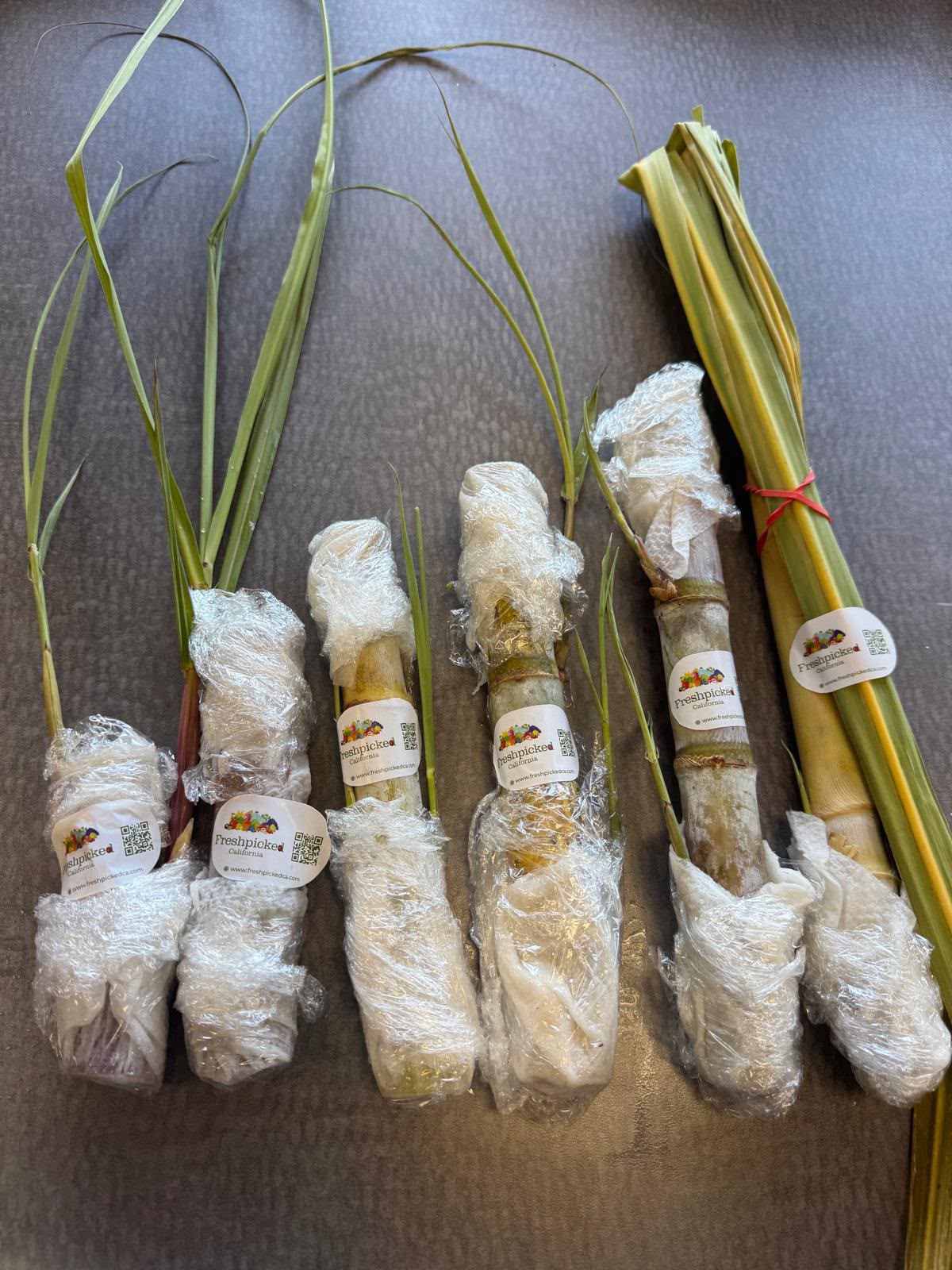 California-Grown Sugarcane (cut) | Freshpicked California