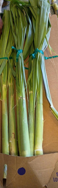California-Grown Sugarcane (Full Stalk) | Freshpicked California
