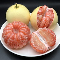Platinum Rose Pomelo