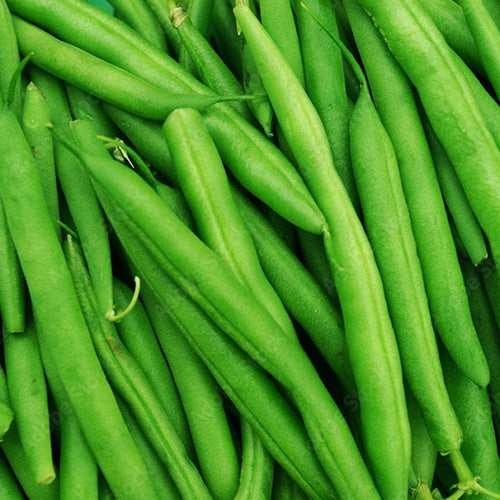 Green Beans